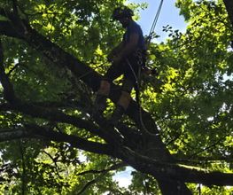 Passion Forêt SA Bild 8
