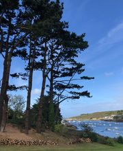 Breizh Arborescence image 8