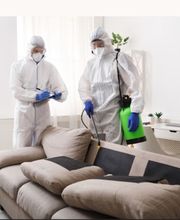 Eradication Nuisibles image 2