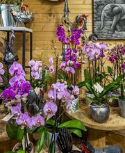 Au Parfum des Fleurs image 15