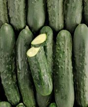 Saveurs Provençales image 14