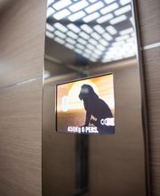 Gallery Professionale