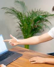 Williams System Bild 2