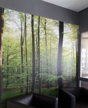 BORER MALERGESCHÄFT AG Bild 5