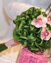 Blumen Oase GmbH Bild 3