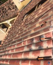 Lenoir Steeve image 12