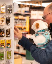 Tom&Co Blois - Animalerie - Dog Wash image 9