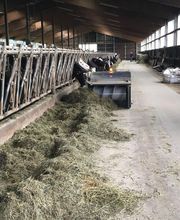 Soubrier Besse image 8