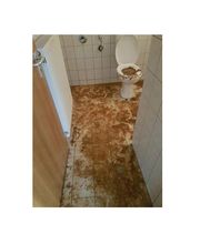 Lessander & Buchholz GbR Bild 8