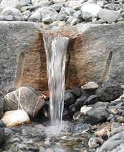 Matter Garten AG Bild 11