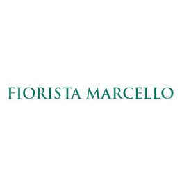 Fiorista e Onoranze funebri Marcello logo