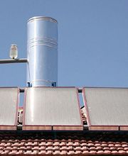 De Araujo Patrick image 1