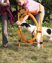 dorothea gawol Bild 5