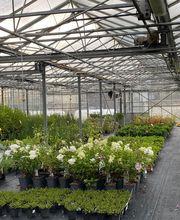 Dagorne Horticulture SARL image 1