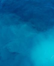 SN Kleintransporte GbR Bild 1