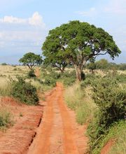 TUKIO Afrika Bild 7