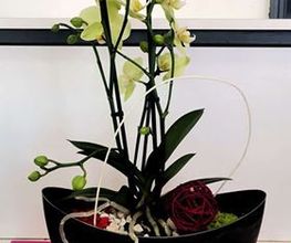 Romilly fleurs image 1