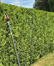Herr Gartenbau GmbH Bild 1