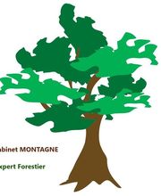 Cabinet MONTAGNE Expert Forestier image 4