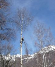 Mollier Bertrand image 2