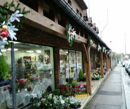 Fanny Fleurs image 2