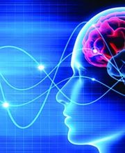 Magnac Christophe image 5