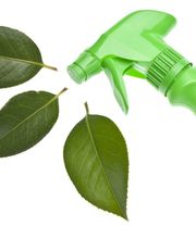 A Cleaner Image image 2