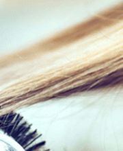 Coiffeur Haircool S, Monika Suter Bild 1