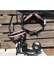 Der kleine Pferdeladen Bild 6