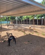 Adiestramiento Córdoba imagen 2