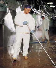 Rausser Handelsfirma Bild 7