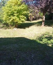 Entreprise FAVIER espace vert image 3