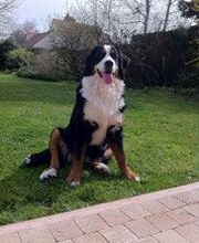 Canal Truffe image 2