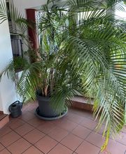 CL Capital Living GmbH Bild 4