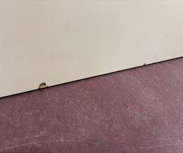 IMG_0650.jpeg