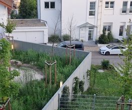 Niehaus Gebäudeservice UG (haftungsbeschränkt) Bild 14