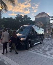 Premier Taxi & Limo Service image 15