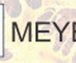 Meyer GbR