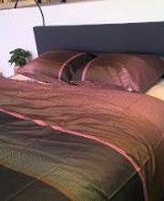 Swiss Sense Bamberg - Hirschaid Bild 11