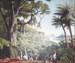 Collado Edouard image 19