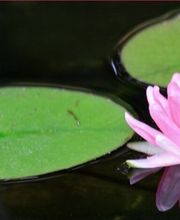 Bastian Wieber Landschaftsbau- und Gartenbau Bild 2