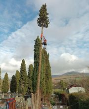 Lopez Dominique le Grimpereau image 7