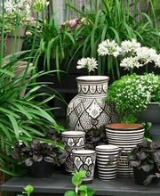 1A Blumen Beck Bild 2