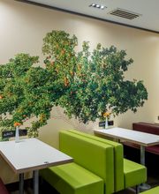 McDonald's Bild 4