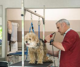 Profil Canin image 14
