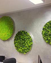 Franzen Moos Wanddesign Bild 17