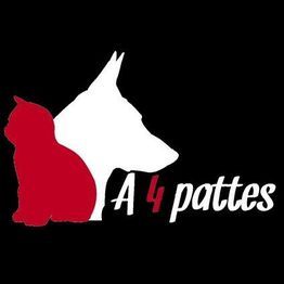 A 4 Pattes