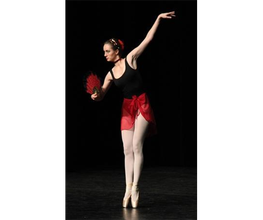 Ballettschule Endres-Mester Bild 10