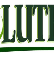 Absolute Grass Inc. image 1