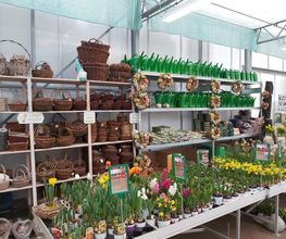 Pirig Gartencenter Bild 3